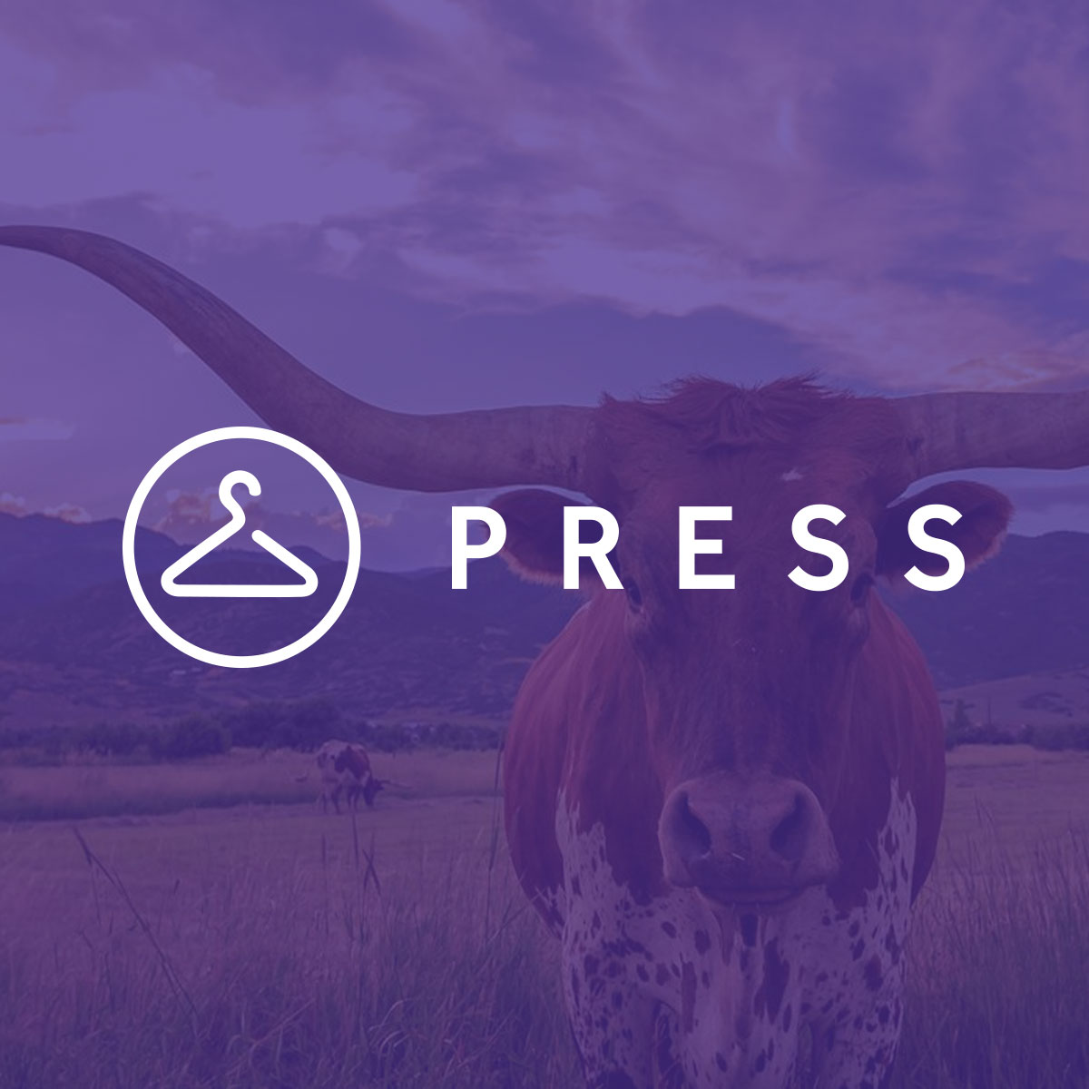 Press Cleaners — Lubbock, TX Dry Cleaning — Free Pickup & Delivery